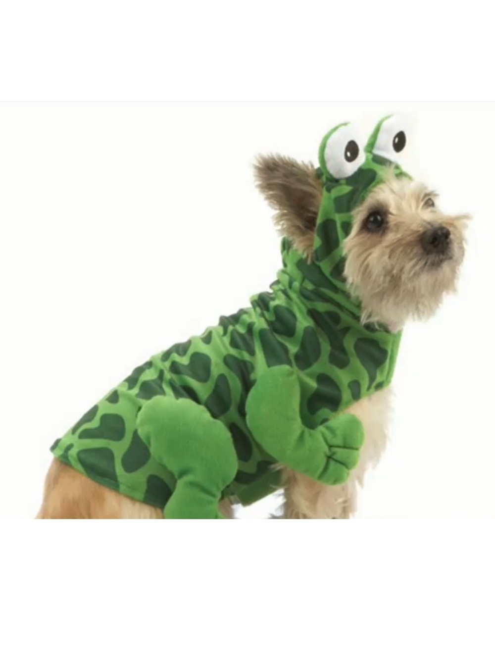 Frog Costume for Dogs ~ size M